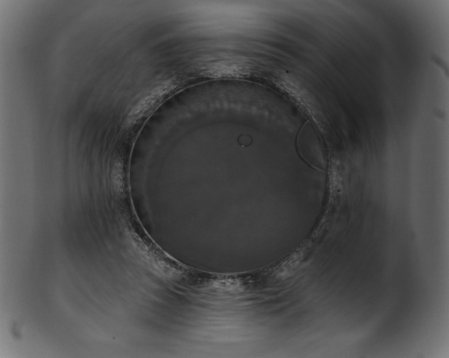 X0000102040353200807181517