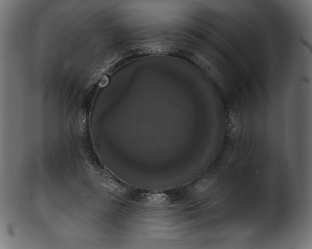 X0000102040355200807181517