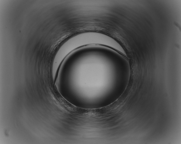 X0000102040356200807181517