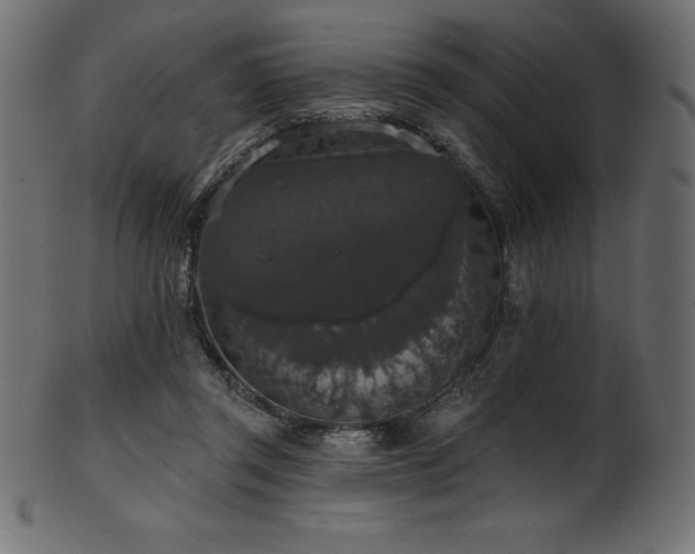 X0000102040357200807181517