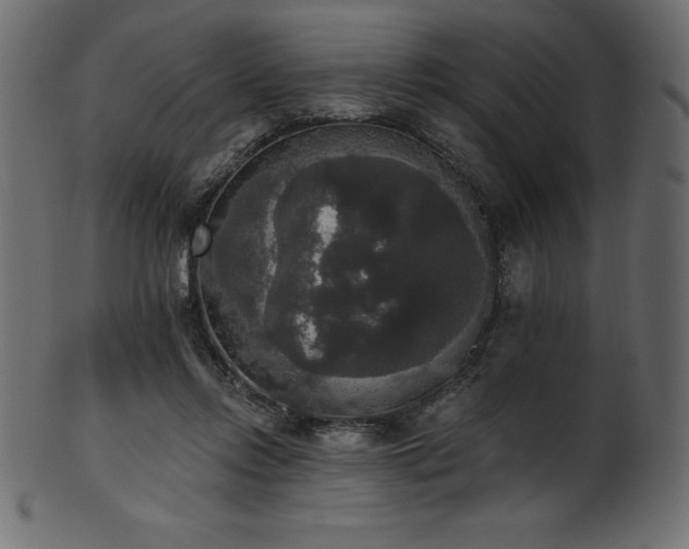 X0000102040358200807181517