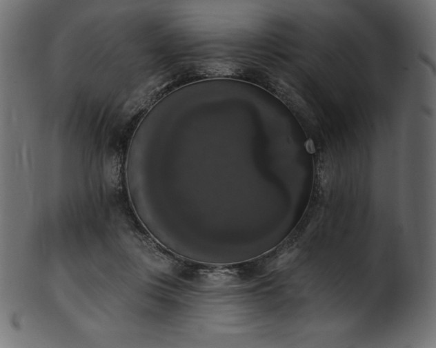 X0000102040359200807181517