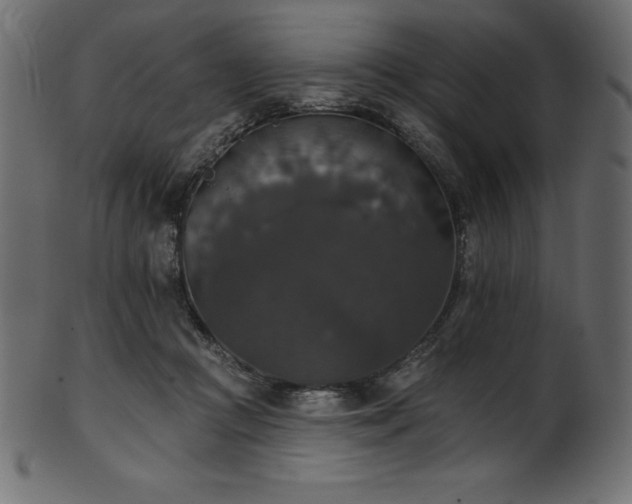 X0000102040361200807181517