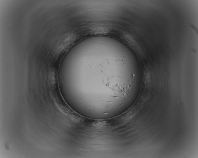 X0000102040362200807181517