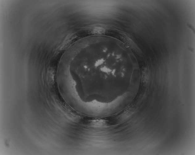 X0000102040363200807181517