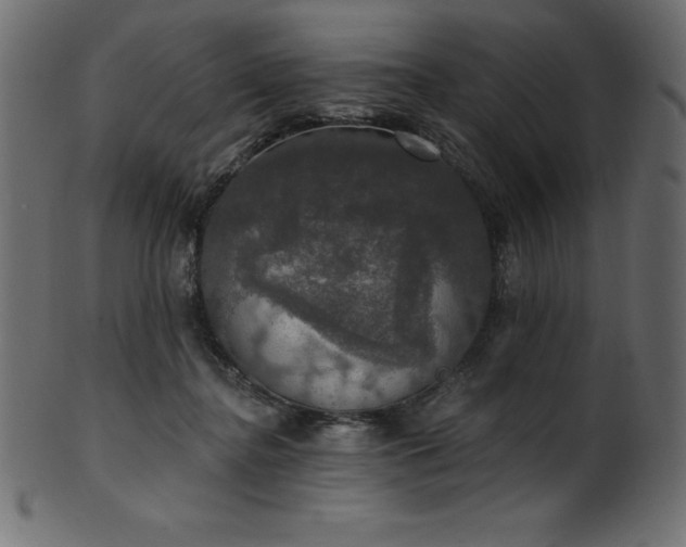 X0000102040364200807181517