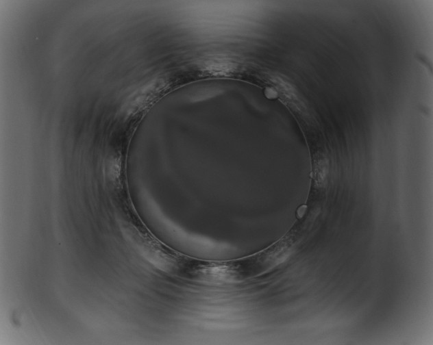 X0000102040365200807181517