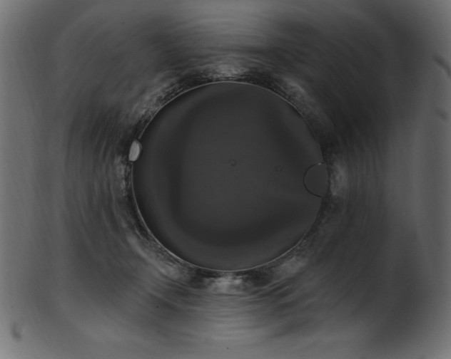 X0000102040366200807181517