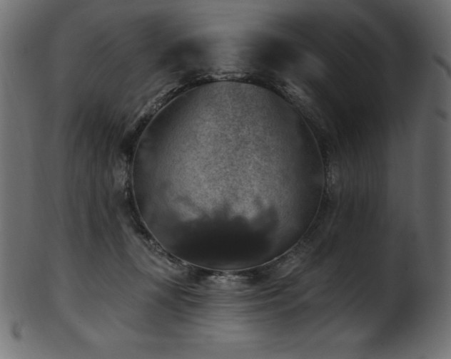 X0000102040367200807181518