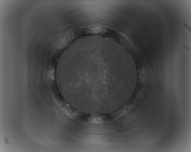 X0000102040368200807181518