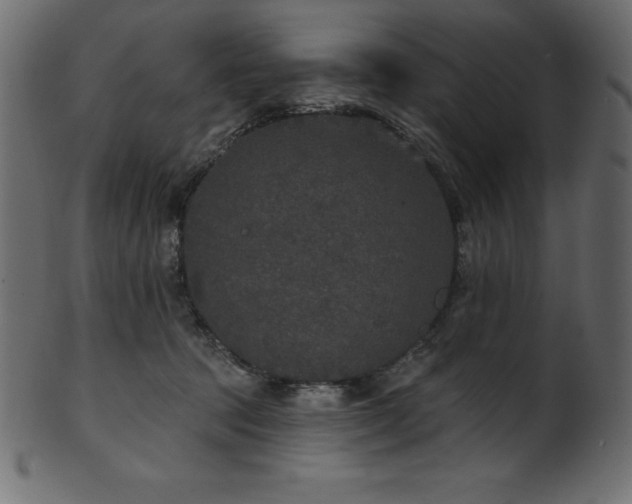 X0000102040369200807181518