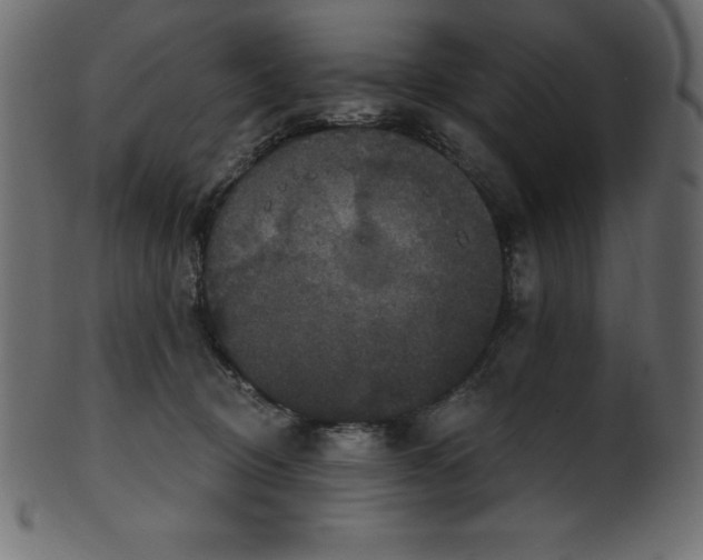 X0000102040370200807181518