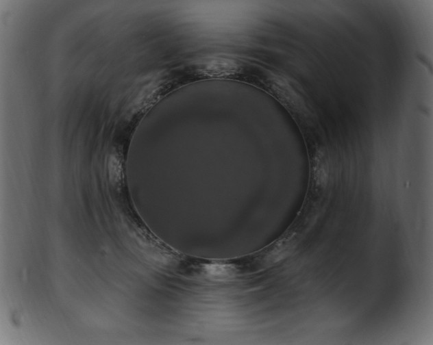 X0000102040371200807181518