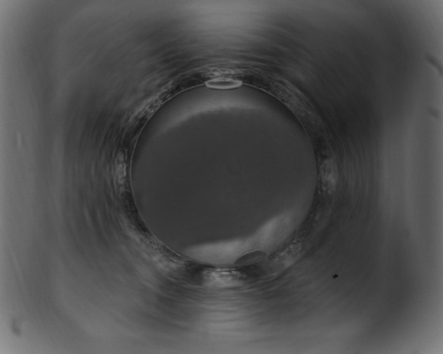 X0000102040372200807181518