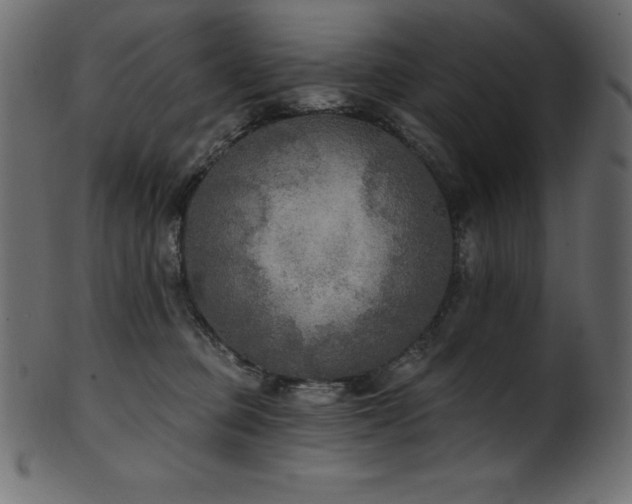 X0000102040373200807181518