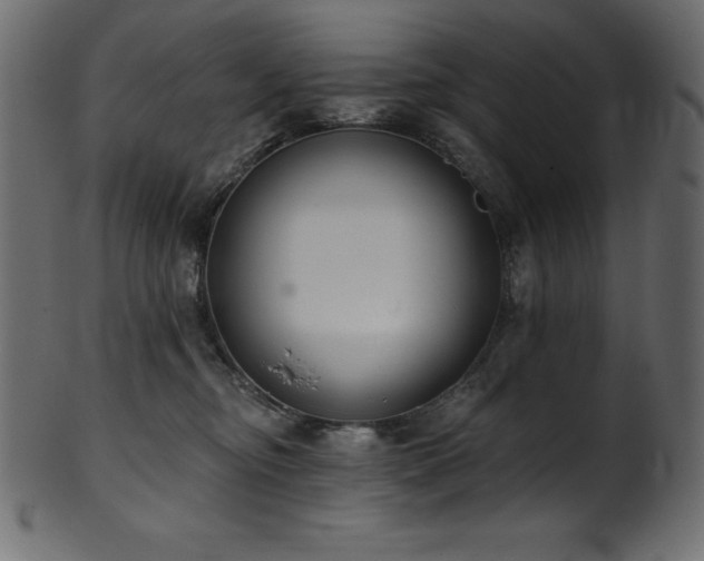 X0000102040374200807181518