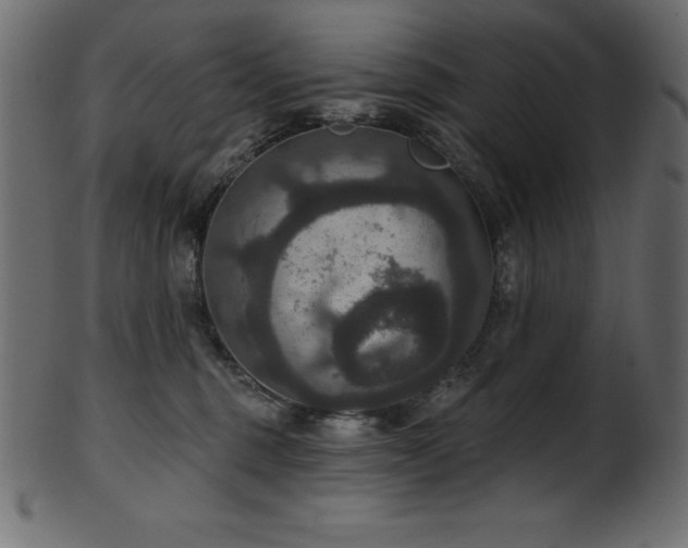 X0000102040375200807181518