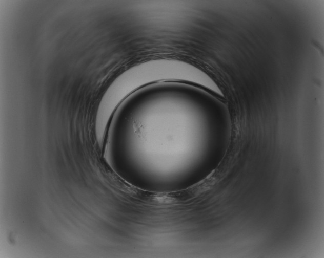 X0000102040376200807181518