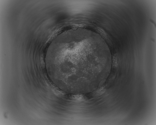 X0000102040377200807181518