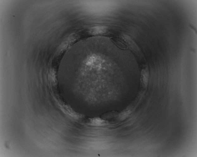 X0000102040380200807181518