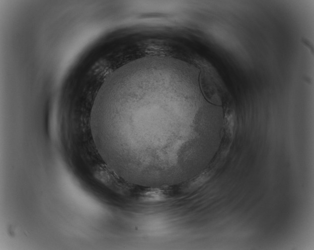 X0000102040381200807181518