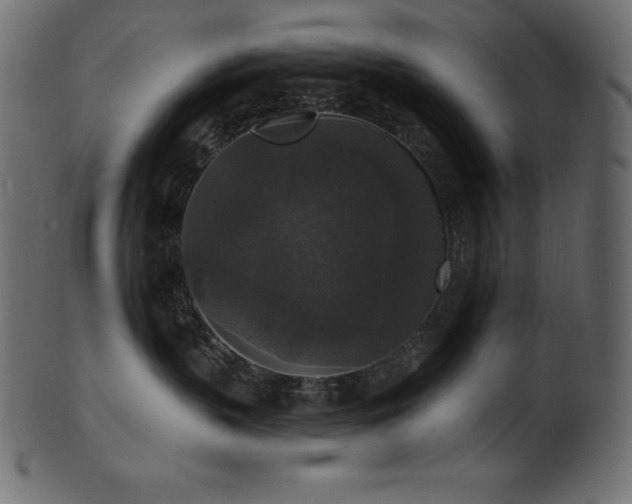 X0000102040383200807181518