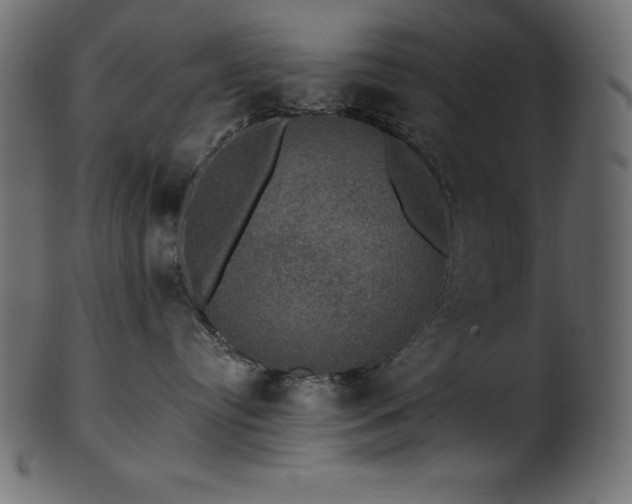 X0000102040384200807181518