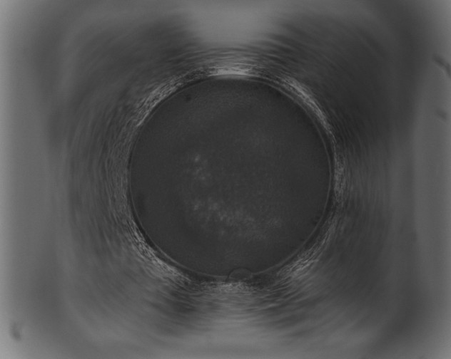 X0000102040385200807181517