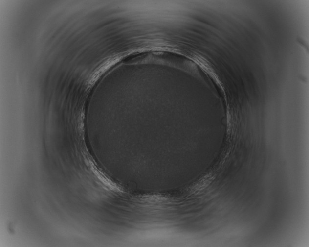 X0000102040389200807181517