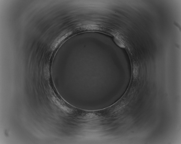 X0000102040390200807181517