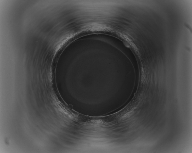 X0000102040391200807181517