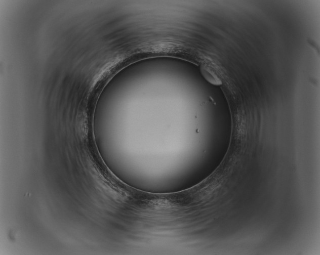 X0000102040392200807181517