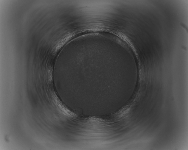 X0000102040393200807181517