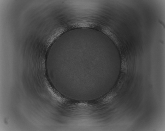 X0000102040394200807181517