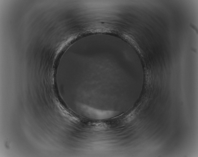 X0000102040395200807181517