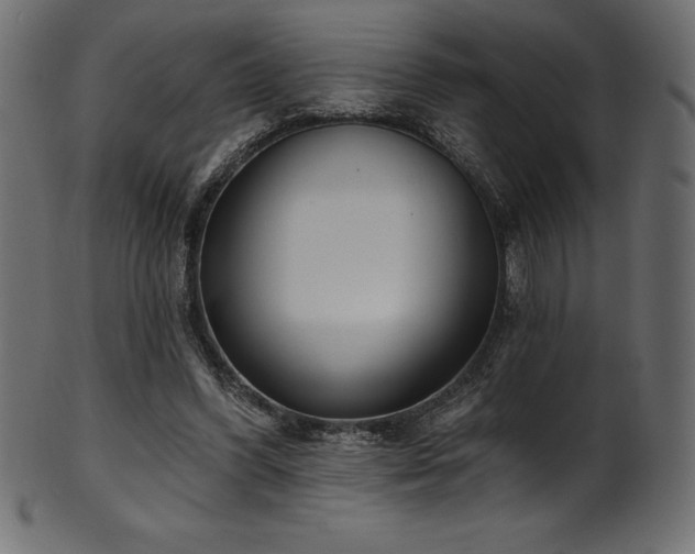 X0000102040396200807181517