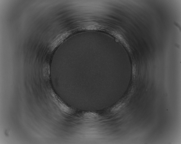 X0000102040397200807181517