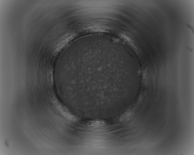 X0000102040398200807181517