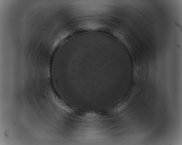 X0000102040399200807181517