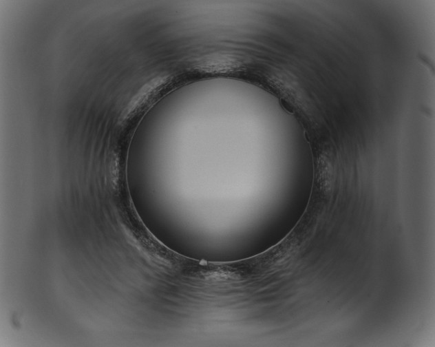 X0000102040400200807181517