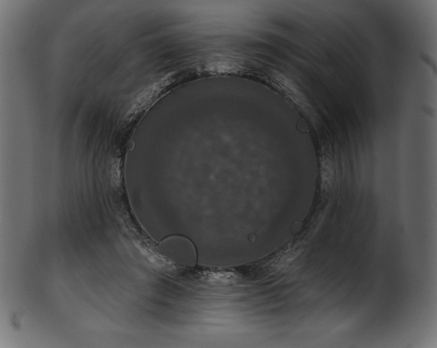 X0000102040401200807181517