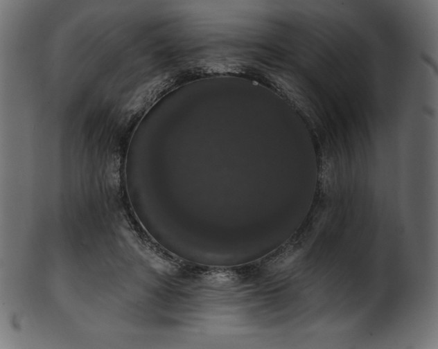 X0000102040402200807181517