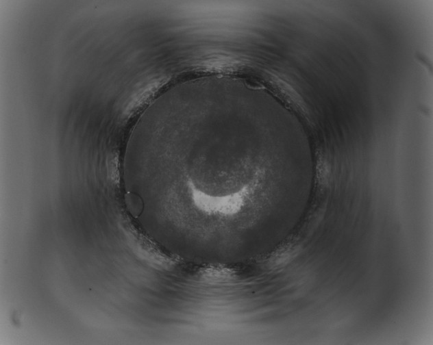 X0000102040403200807181517