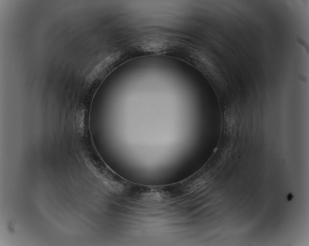 X0000102040404200807181517