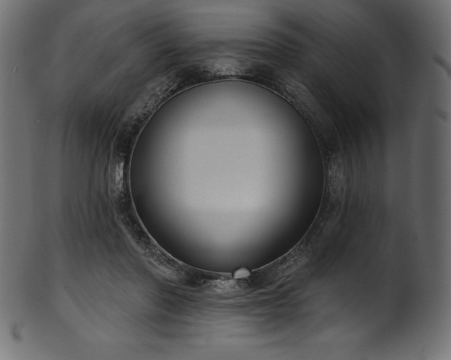 X0000102040406200807181517