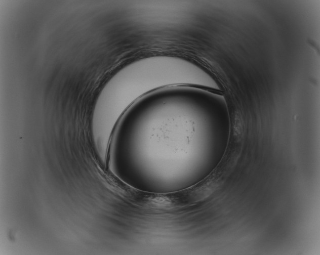 X0000102040409200807181517