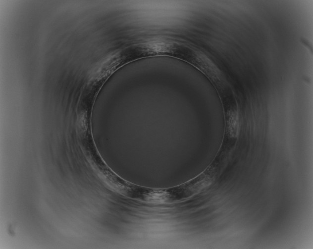 X0000102040410200807181517