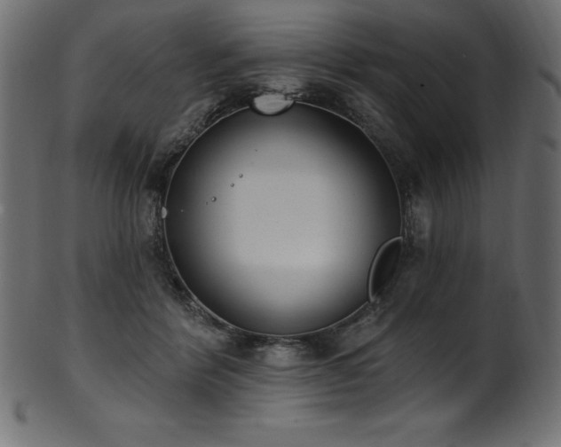 X0000102040412200807181517