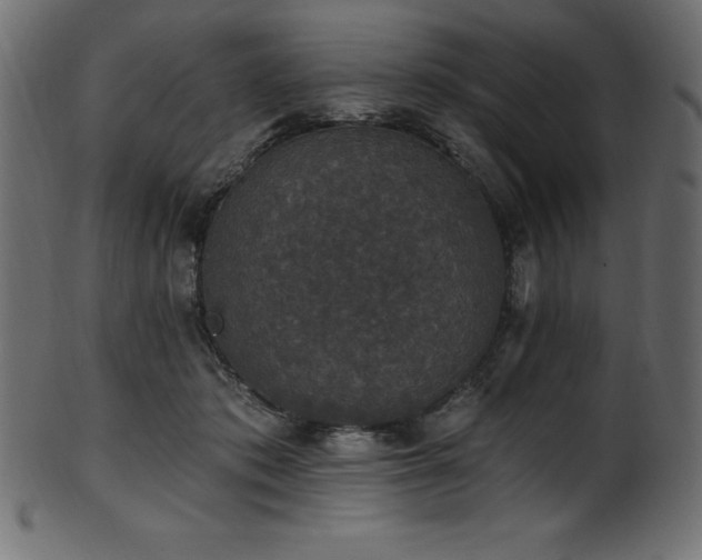 X0000102040413200807181517