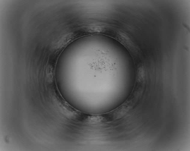 X0000102040414200807181517